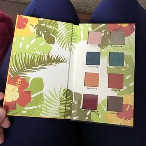 Alamar eye shadow pallet. Brand new never used!